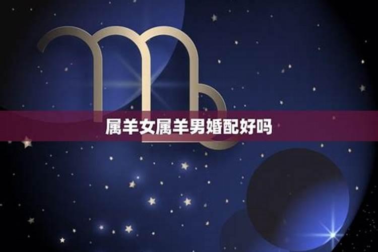 羊和兔能不能白头到老 多沟通少争执？