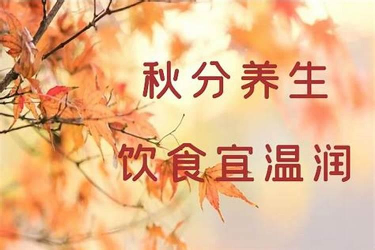 秋分是什么生肖