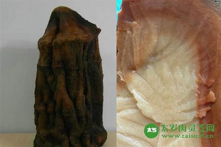 属牛的文昌位在哪个方向