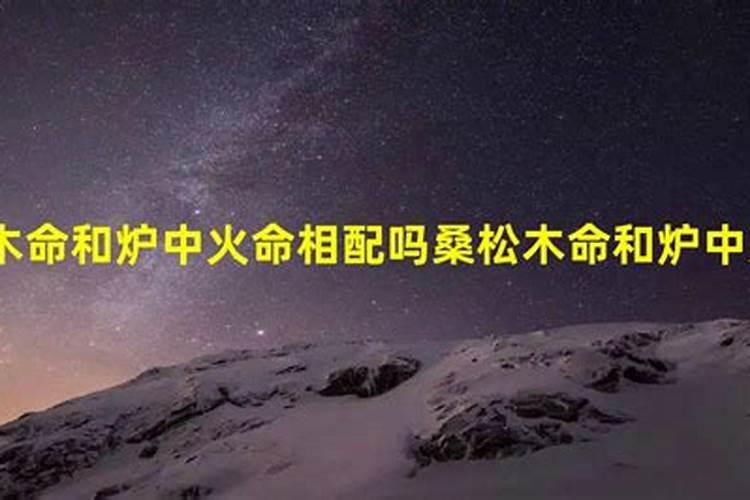 72年属鼠桑松木和80年属猴石榴木可以结婚吗