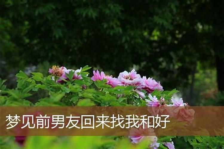 女人梦见自己挺大肚子是啥意思