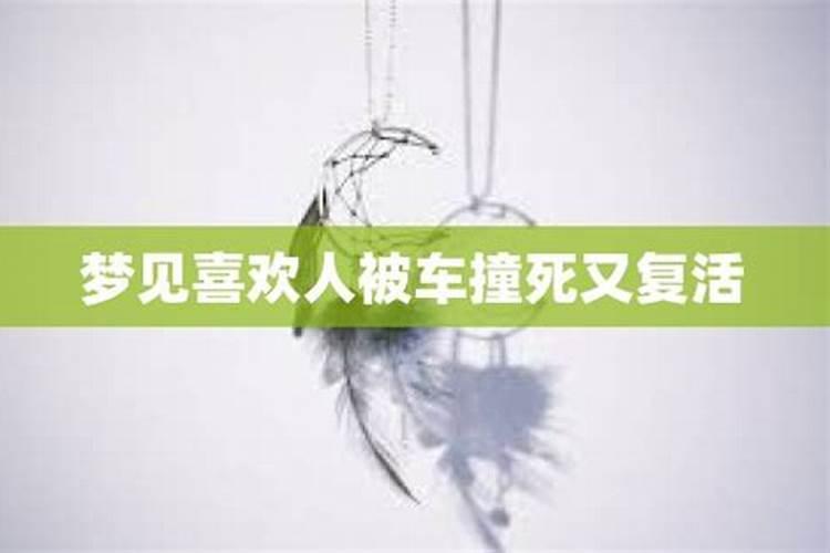 2025年的属猴人运势