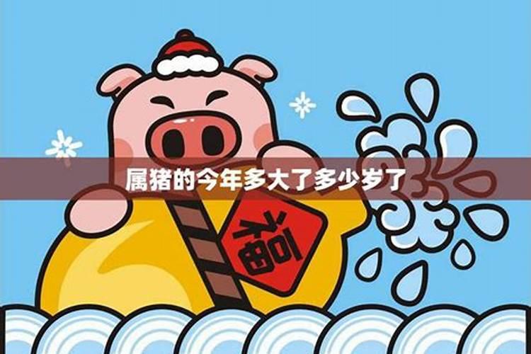 83年的猪37岁后命好是真的吗,83年属猪37岁以后需注意什么