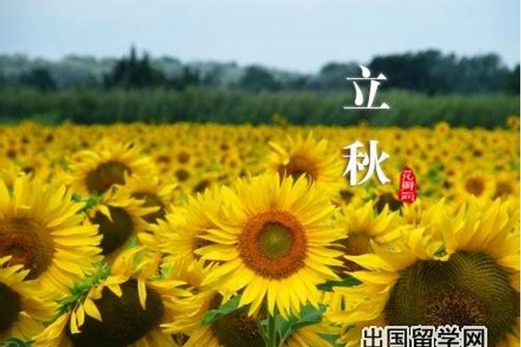 1994年立秋那天,阳历和农历各是什么日期？