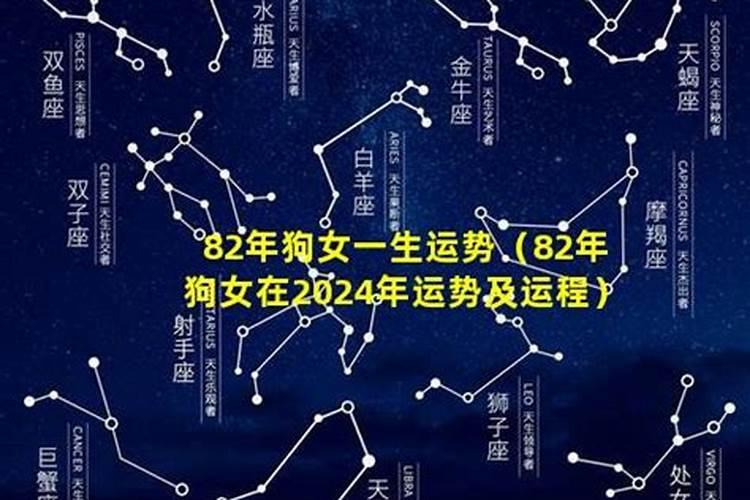 属马人2025年全年运势运程