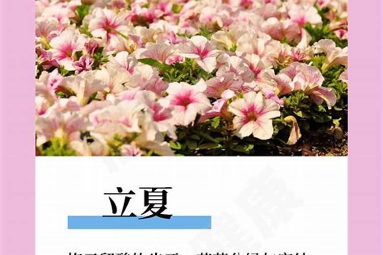 合肥蜀山烈士陵园需要预约吗