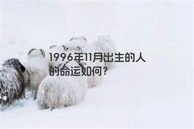 生肖兔2025年运势及运程如何