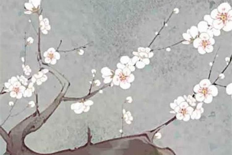 中秋节天津地区习俗 写作文用 素