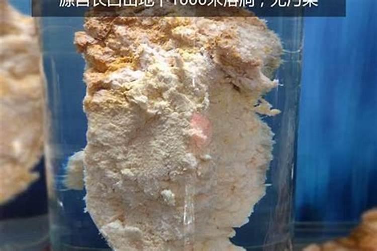 24节气冬至是什么意思 24节气冬至指的是什么