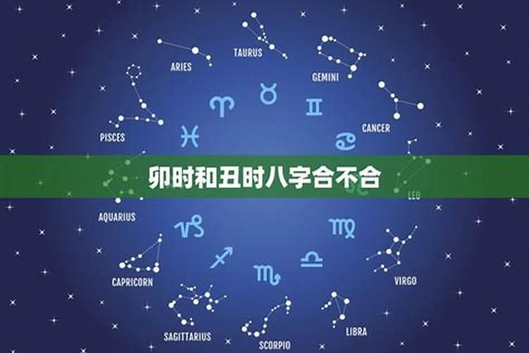 戌时和卯时八字合不合,寅时男和未时女相合吗