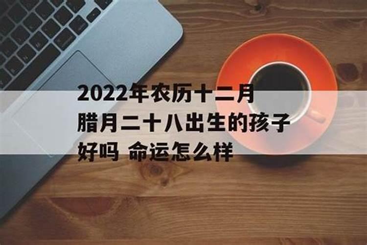 如孝法师:看到个别僧人的乱像到底该不该说