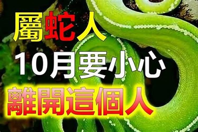 生肖蛇2025年运势及运程如何