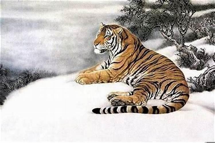 生肖属虎1998性格怎样