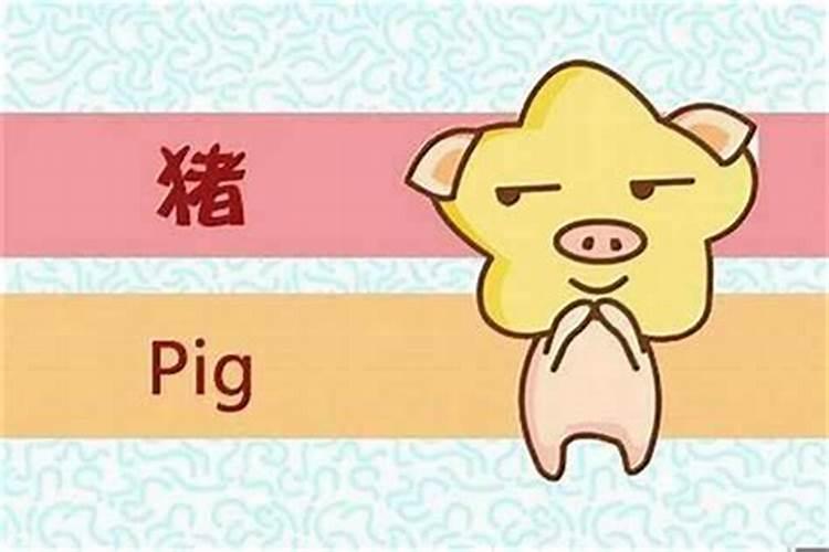 1995女孩属猪正月初一生辰八字
