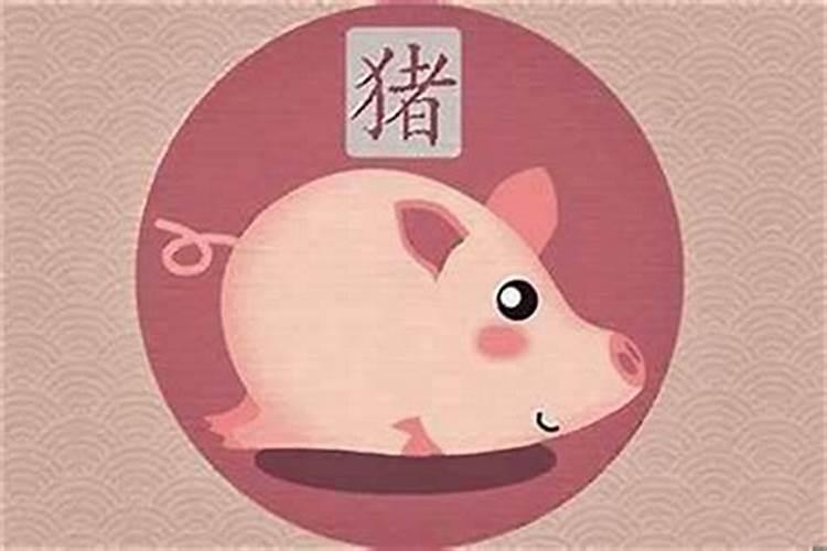 属猪2025年犯太岁