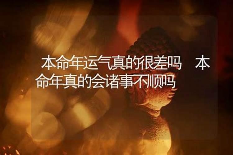 怀孕梦见死尸什么预兆 孕妇经常做梦对胎儿好吗