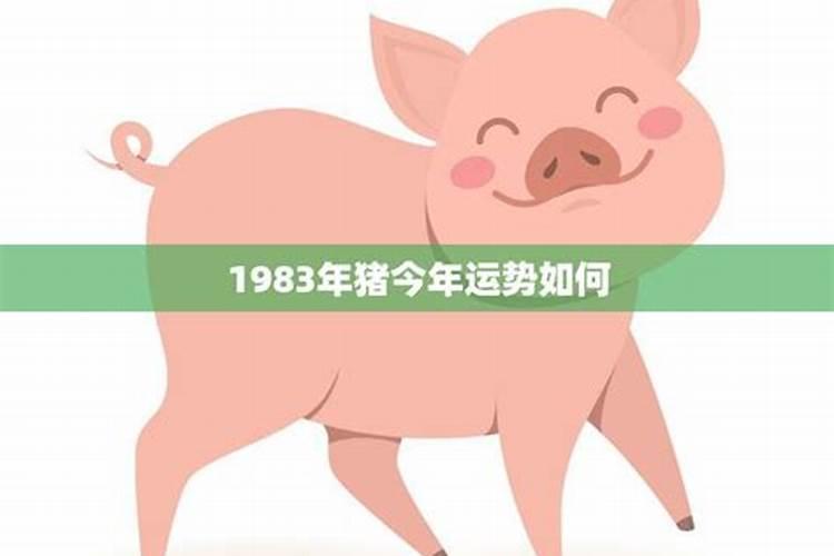 属猪的,1983年农历九月初九是什么命