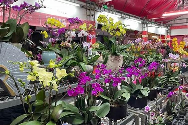 属牛跟属牛结婚好不好？