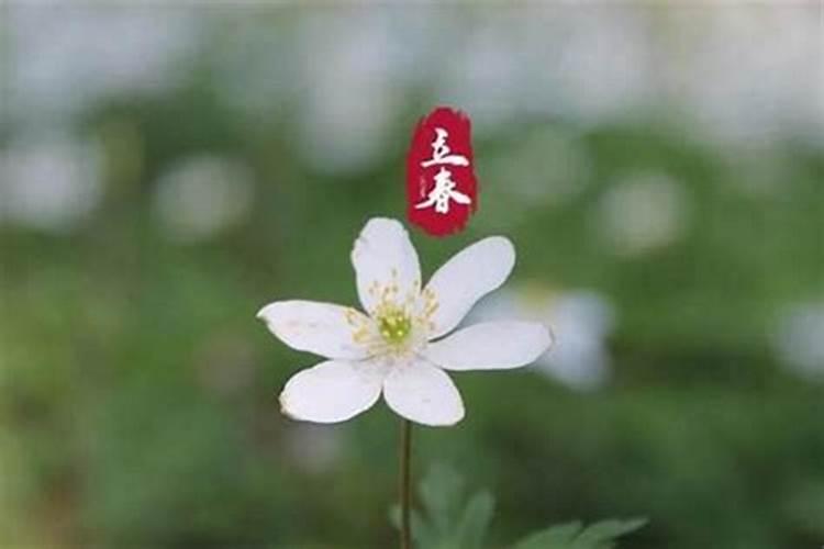 结婚躲春的传统习俗和风水意义 躲春避太岁的重要时间段