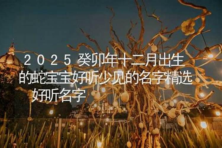 1975属兔2025年的运势及运程