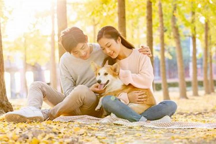 男65年蛇跟女82年狗婚配,65年的蛇和82年的狗结婚幸福吗