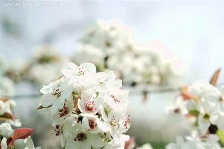 重阳节上坟吗