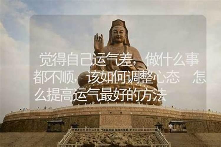 95年猪和00年龙属相合不合,95年属猪男和00年属龙女相配吗？