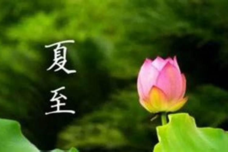 梦见牛跑了什么意思