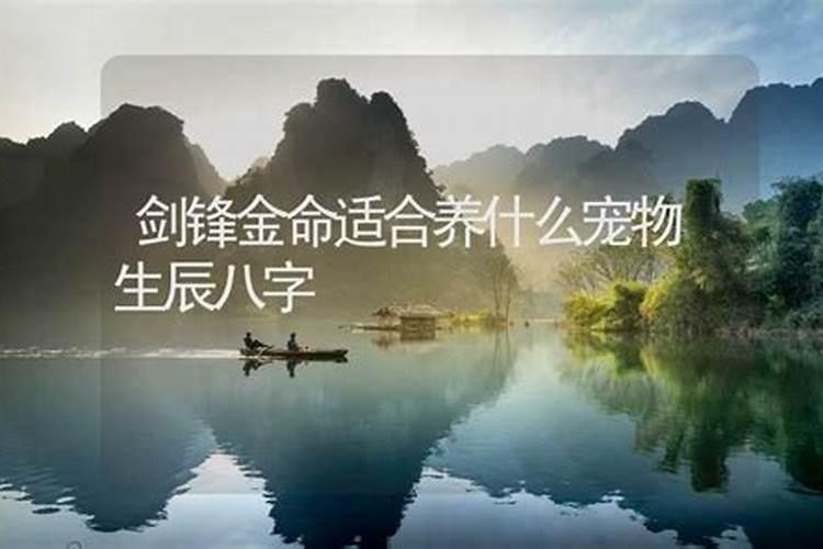 求高人指点我的八字适合养鱼吗？