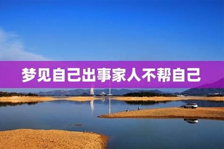 梦见黑狗代表什么仙家呢