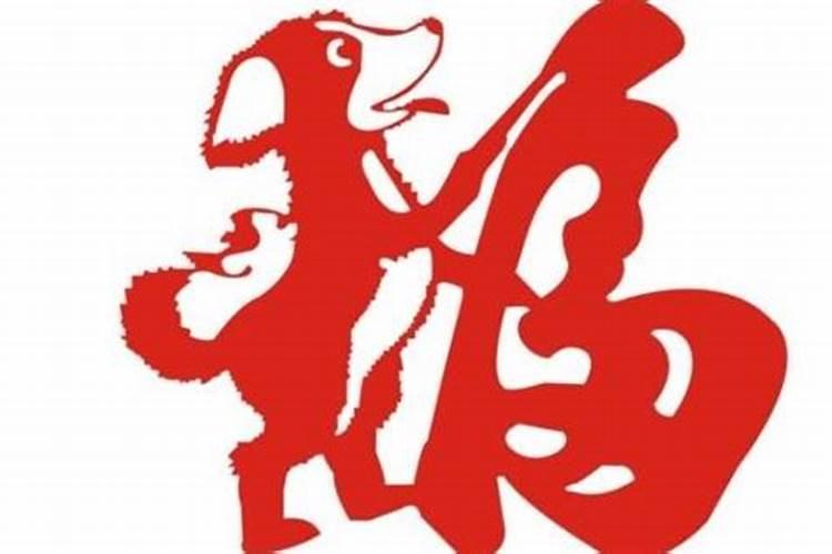 属狗的本命年能结婚吗这些注意事项要了解