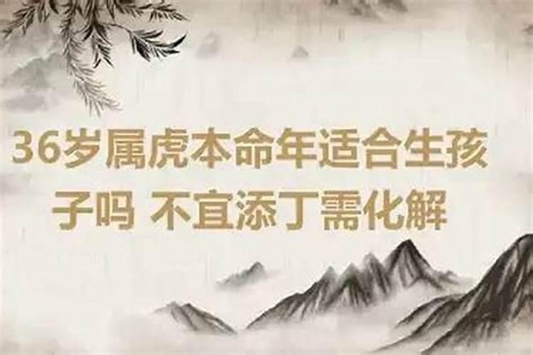 属虎的为什么不能过生日 本命年运势波动大？