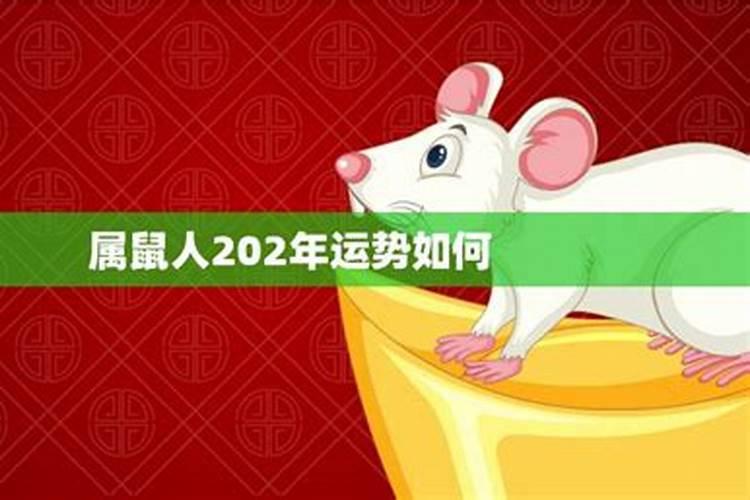 2025腊月初八日子怎么样
