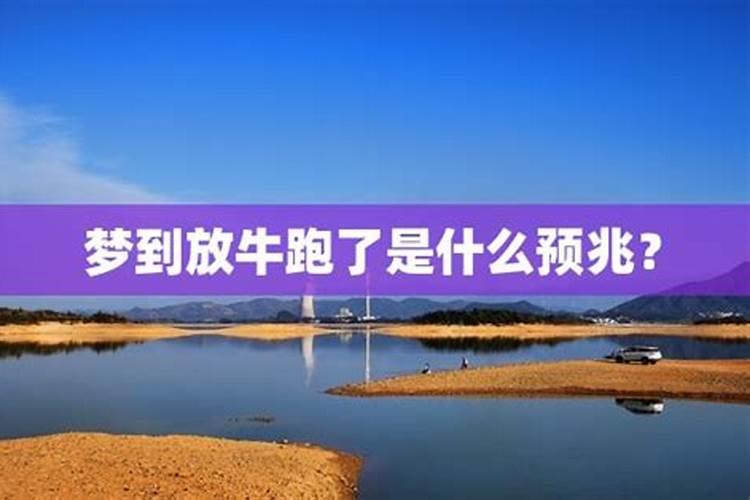 1986年属虎女2025年每月运势及运程详解