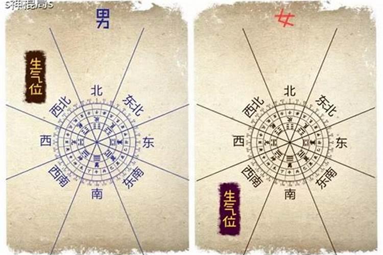 龙和兔在一起对谁不利