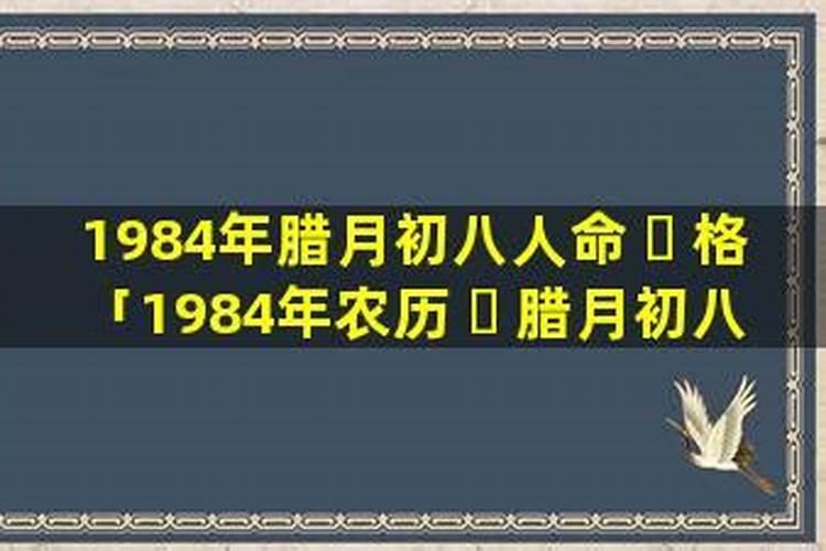 梦见小海龟的预兆