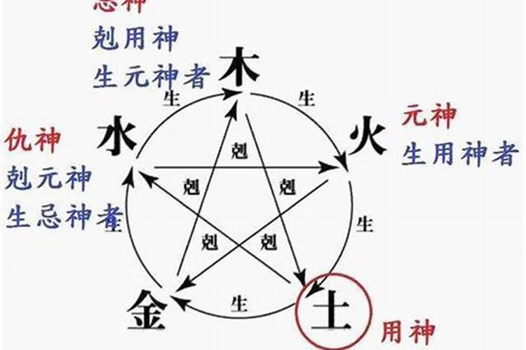 贵州毕节百里杜鹃门票