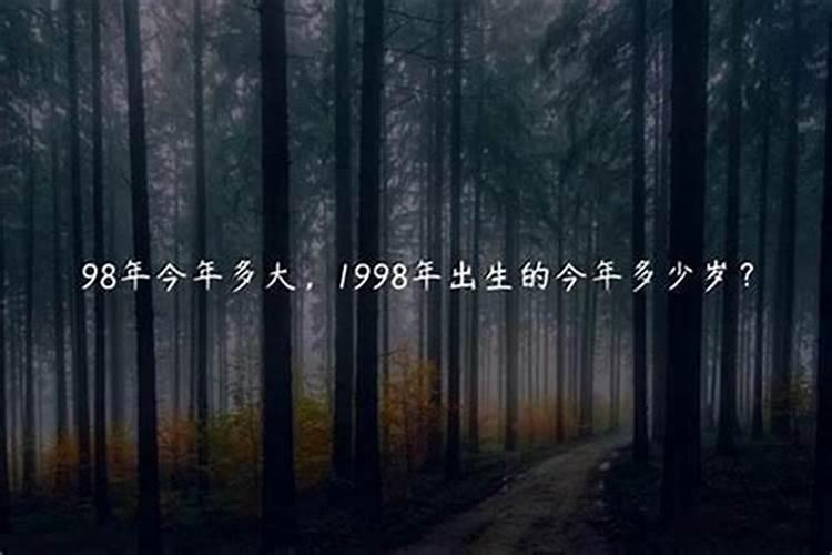 1998年属虎2025年运势如何