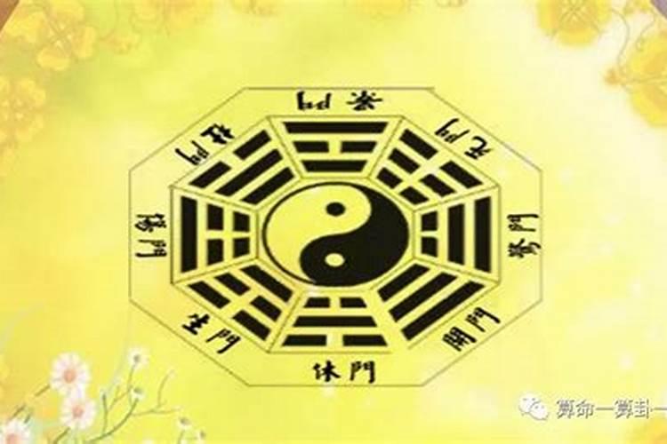 2025年属猪的全年运势