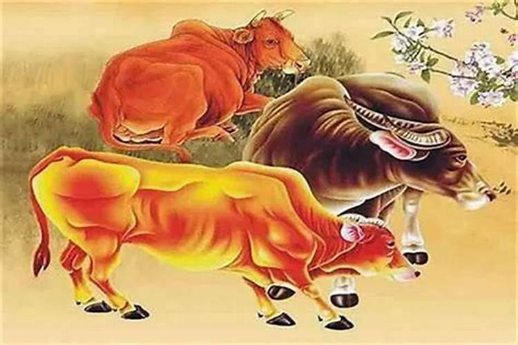 《不谓侠》原唱完整版是什么？