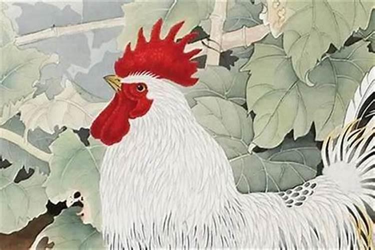 鸡年犯太岁如何化解