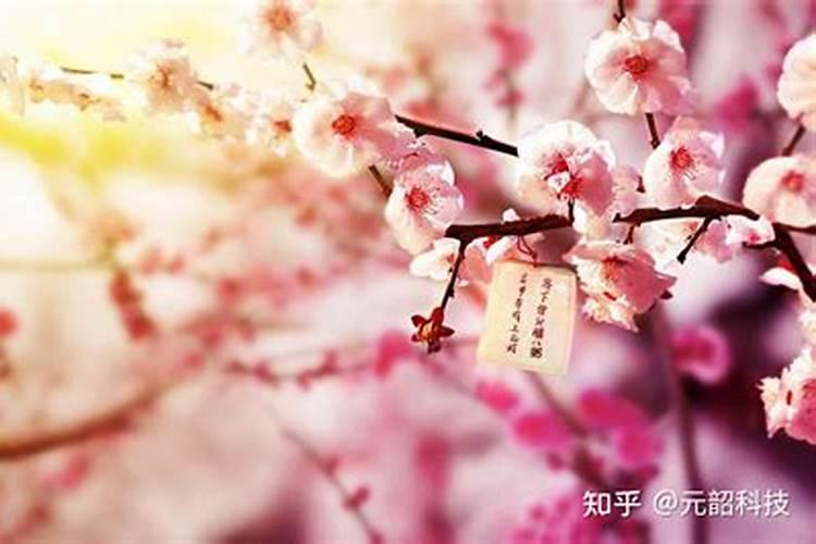 属龙2025年的运势及运程