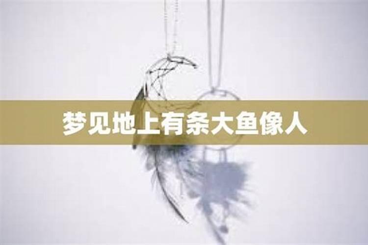 梦见杀了一条大鱼的预兆