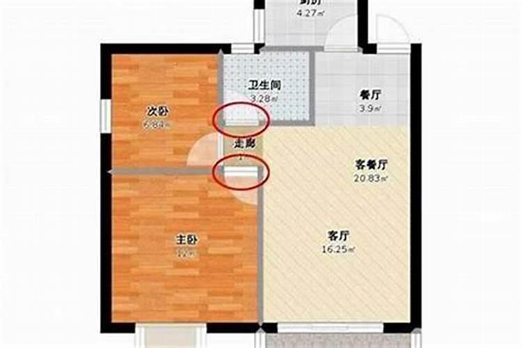 梦打一正确生肖