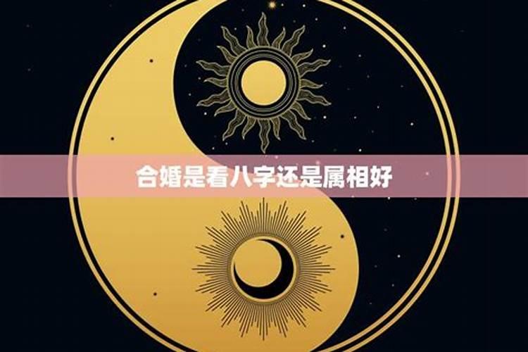 2025属虎女1986年生人的运势和财运如何