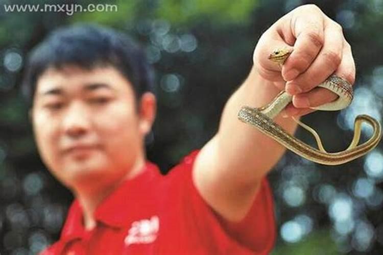 做梦踩到屎是什么意思