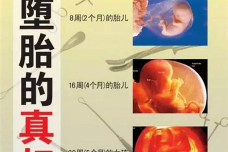堕胎婴灵真的会缠身堕胎者吗？