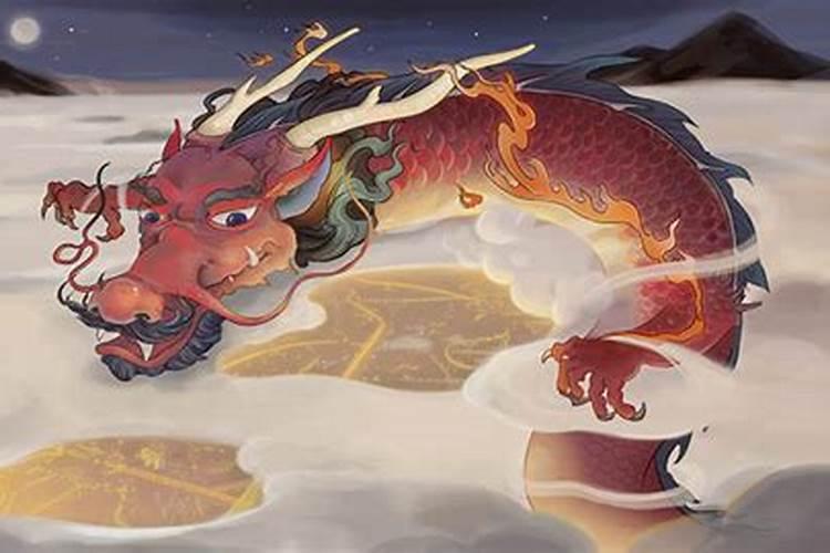 8月龙和5月马的属相合不合