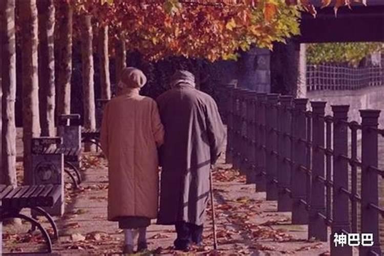 79年属羊人何时行大运,79属羊哪一年会交好运？