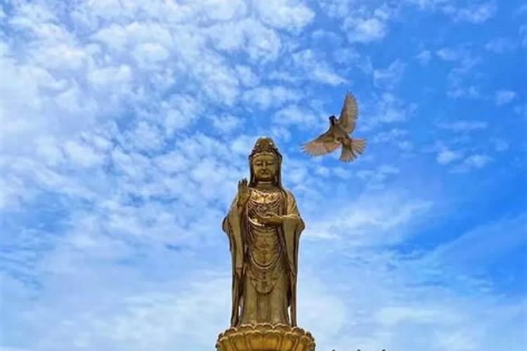 普陀山哪个寺庙同时有和尚和尼姑